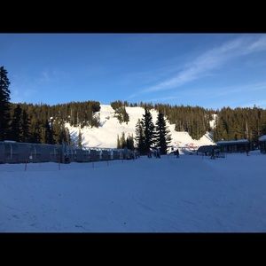 Meet your Posher, Lilly